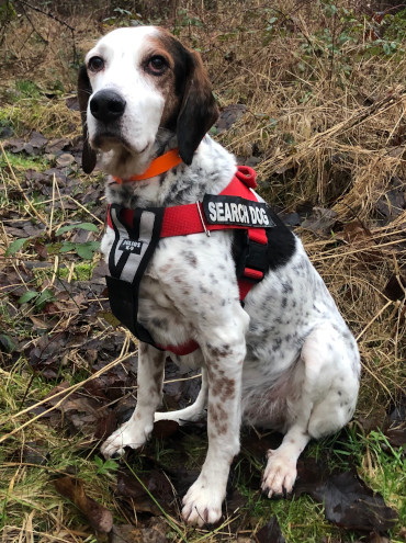 K9 Rascal